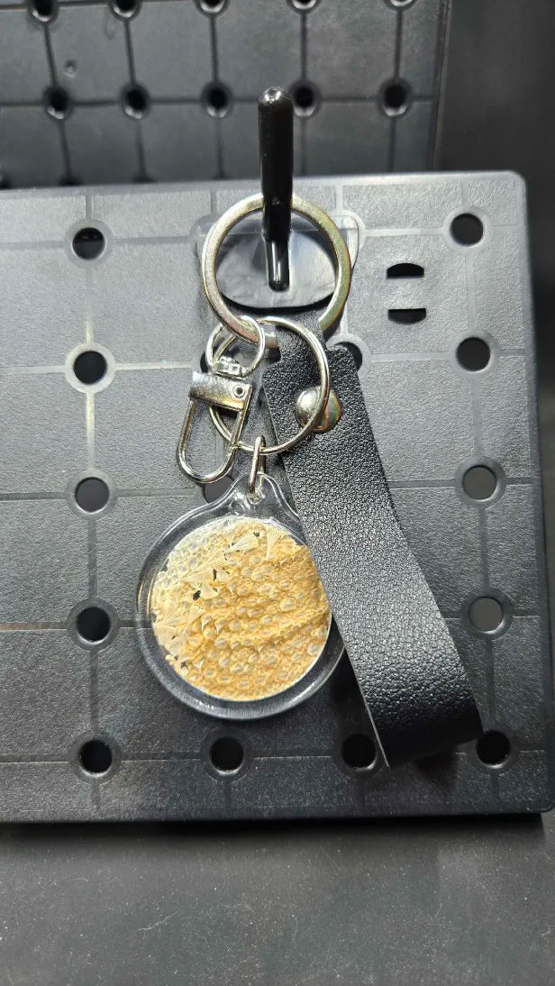 Real Bearded Dragon Shed - Black Strap Key Chain (Charlie)