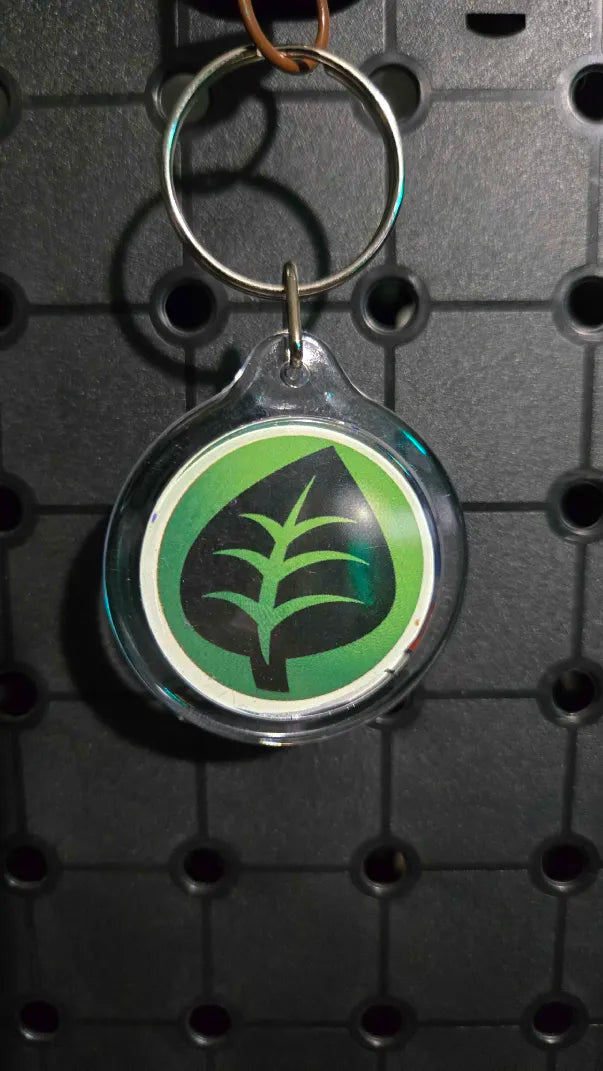 Wing Bug - Key Chain