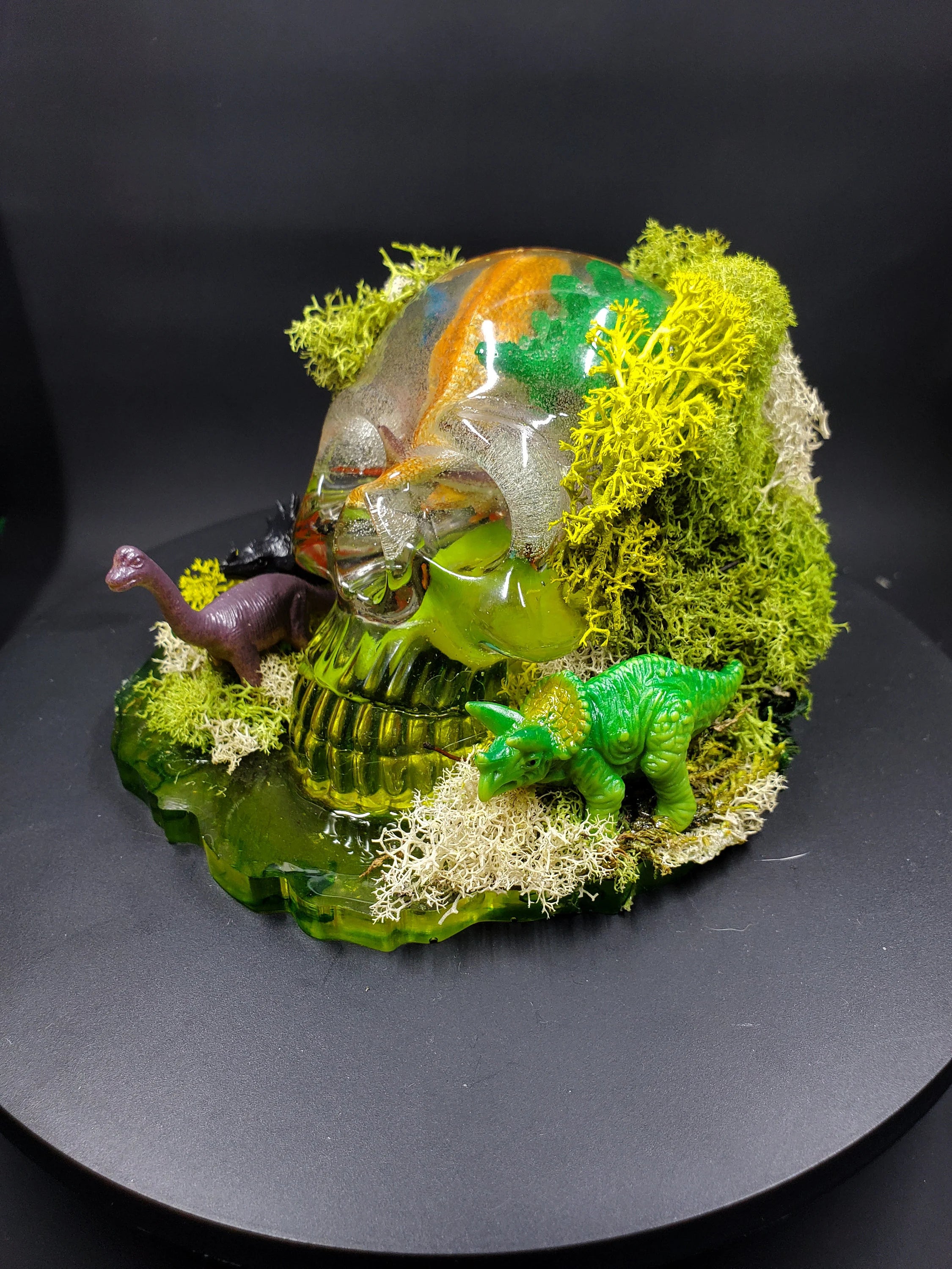 Dino world - Basic Resin Skull with base