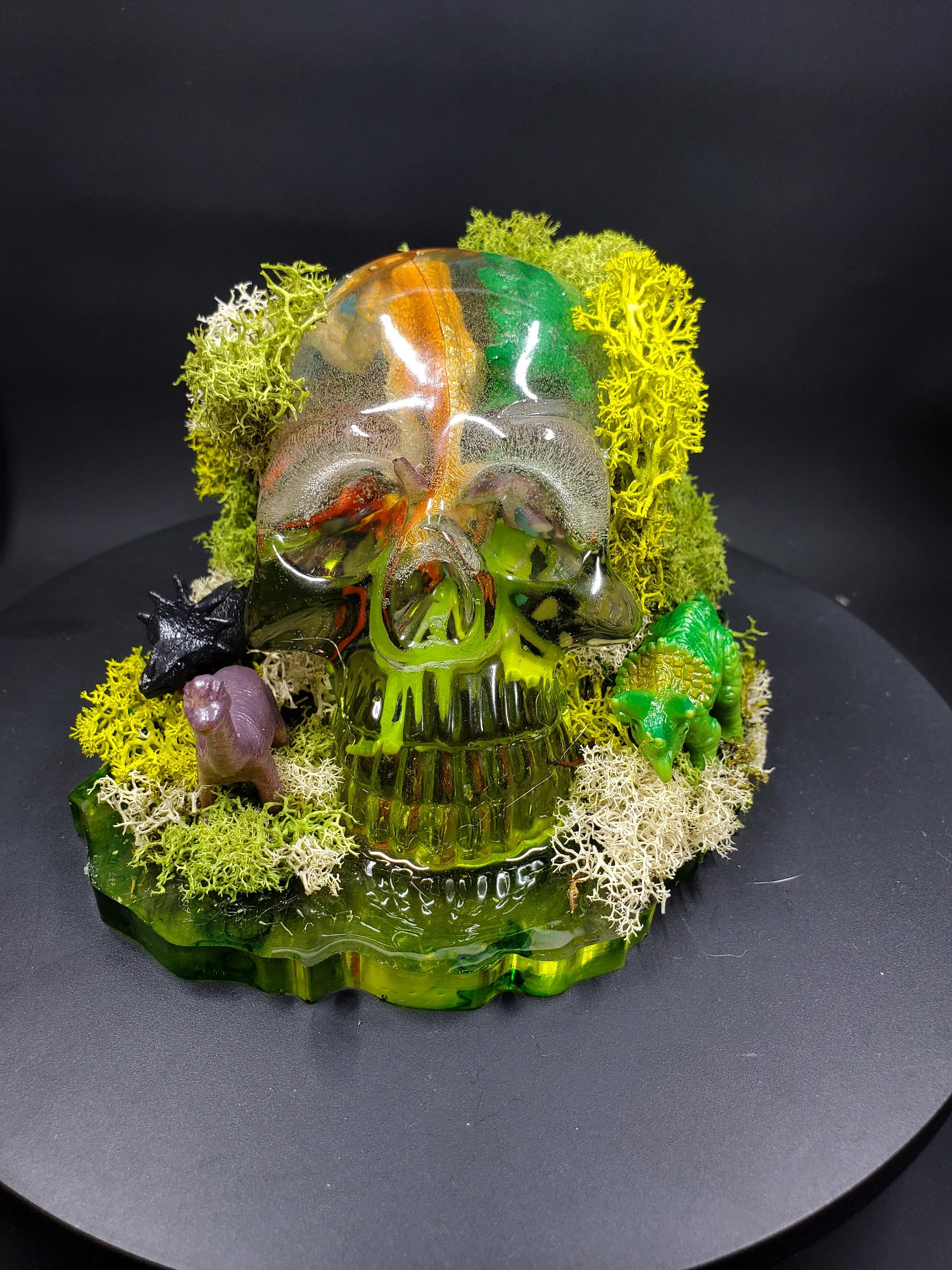 Dino world - Basic Resin Skull with base