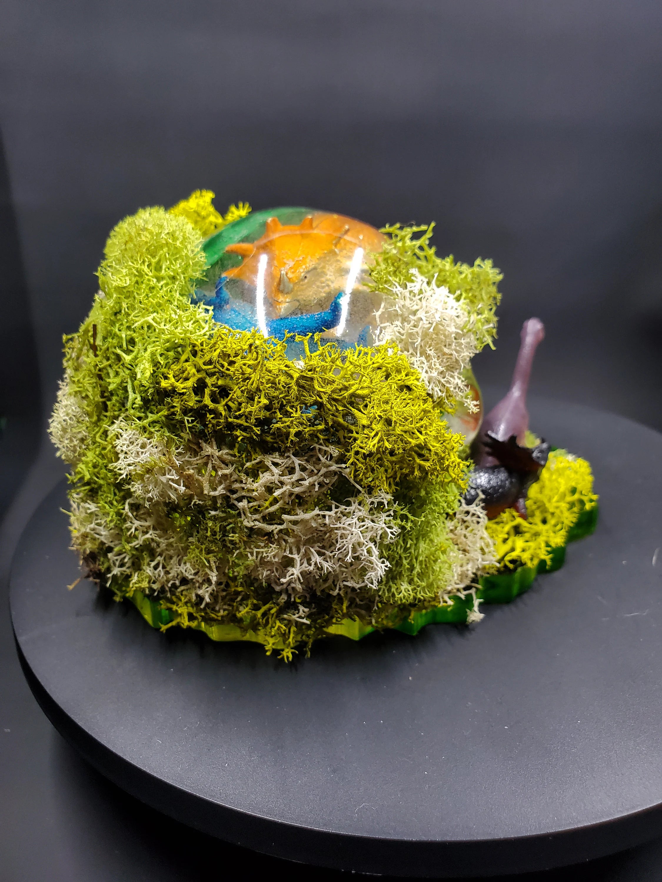 Dino world - Basic Resin Skull with base